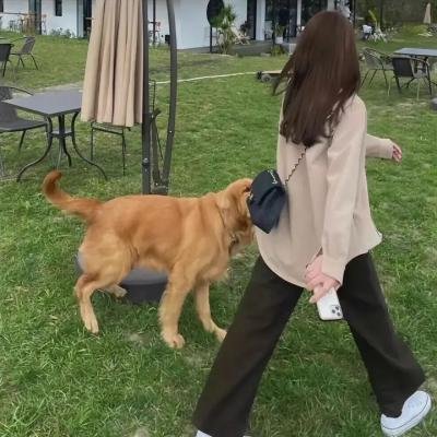 马克再次出击